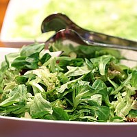 bigBOX Catering Salat